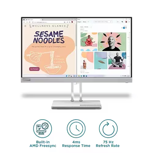 Lenovo L22e-40 FHD Monitor