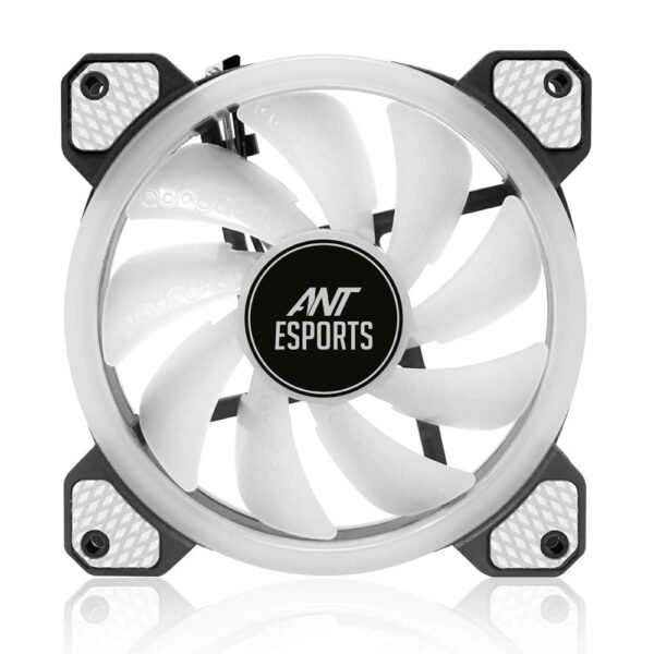 61UgmCRkLDL. SL1000 600x600