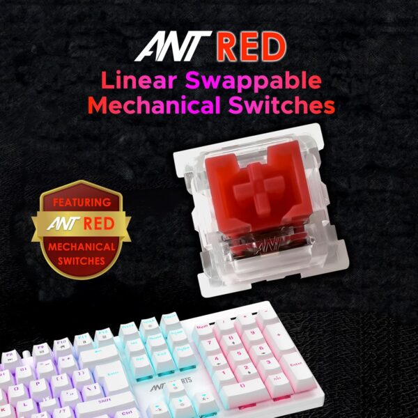 91riWYjpL. SL1500 600x600