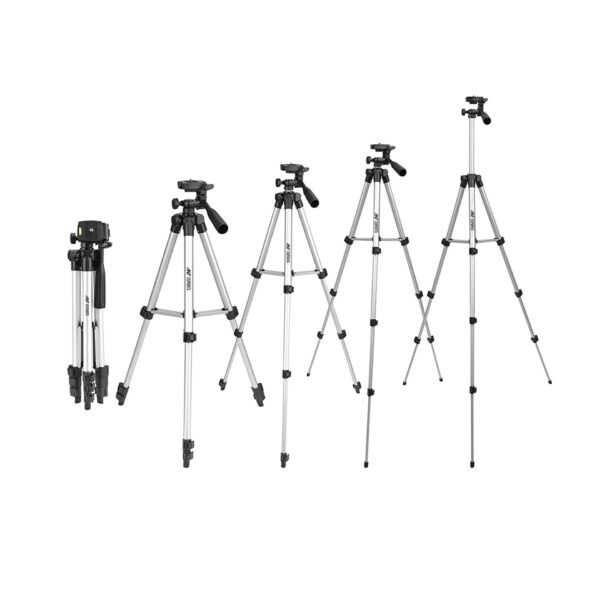 CATS01 Listing 3 600x600