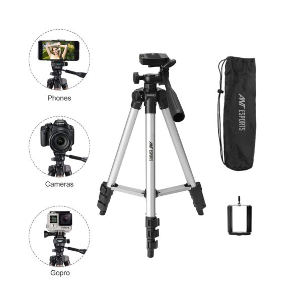 CATS01 Listing 6 600x600