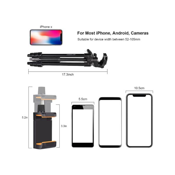 CATS03 Listing5 600x600