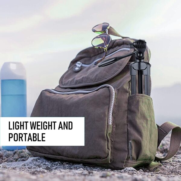 CATS03 Listing7 600x600