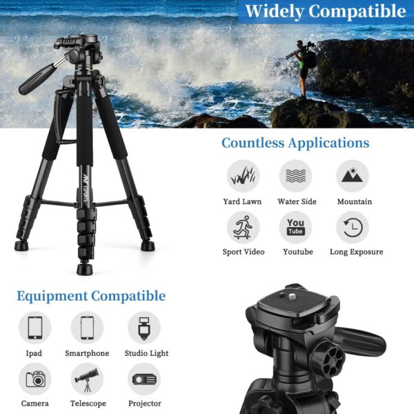 CATSO4 Listing 4 600x600