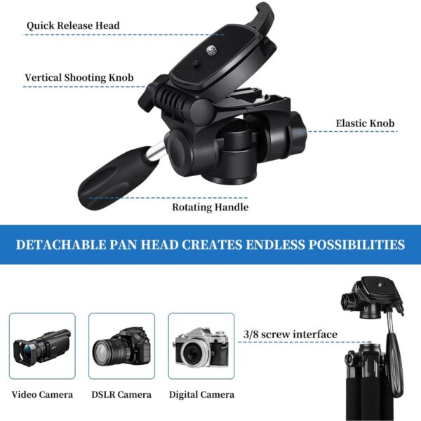 CATSO4 Listing 6 600x600