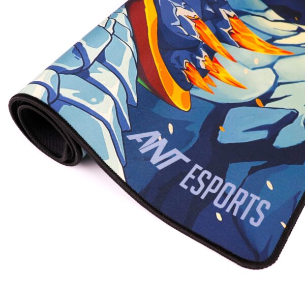 IMG 2675 Scaled 1 600x600