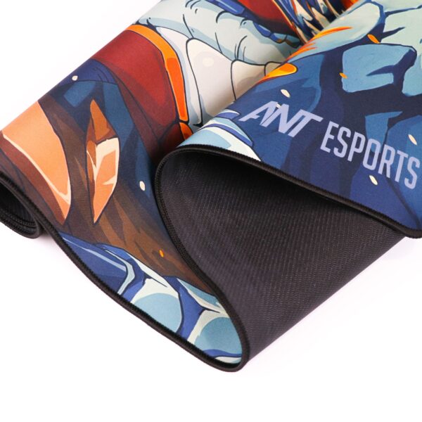 IMG 2678 1 Scaled 1 600x600