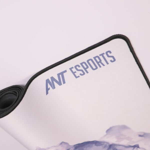 IMG 2711 Scaled 1 600x600