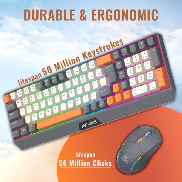 Listing-Image_1-removebg-preview-32.png Listing Image 4 5 2 600x600