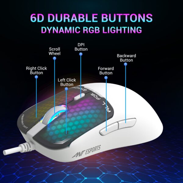 Listing Image 6 1 Scaled 6 600x600