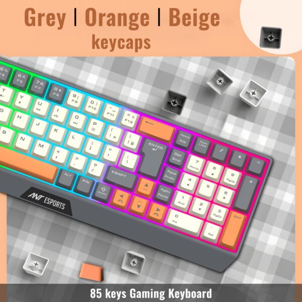 Listing-Image_1-removebg-preview-32.png Listing Image 8 6 2 600x600