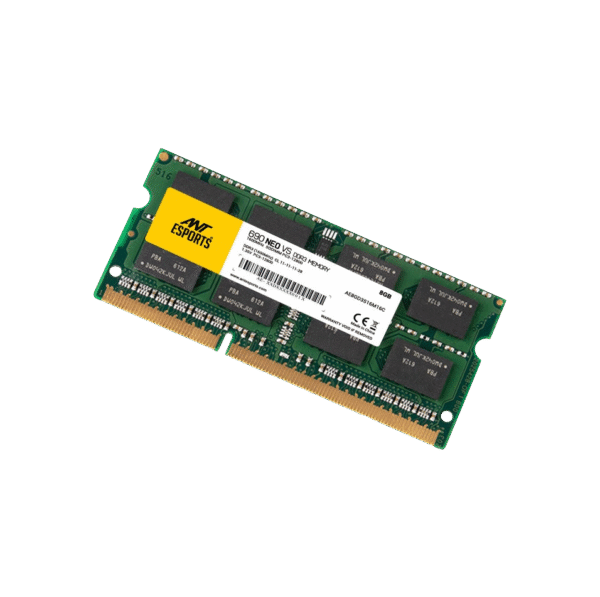 NeoVS8GBDDR31 1 600x597