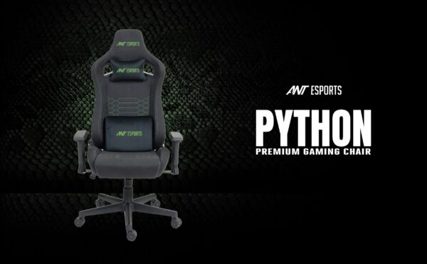 Python 1 1 Scaled 1 600x371