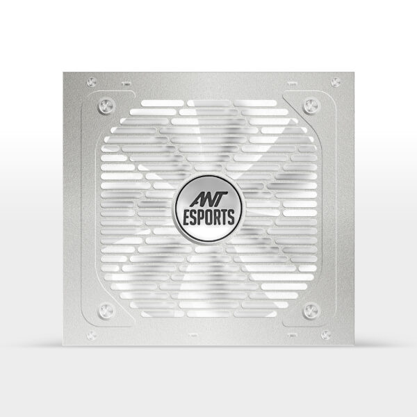 RX550 Listing 3 600x600